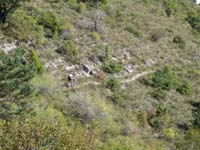 IMG_3690